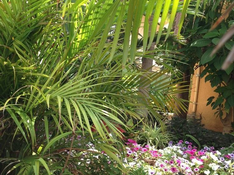 Constantaras Apartments