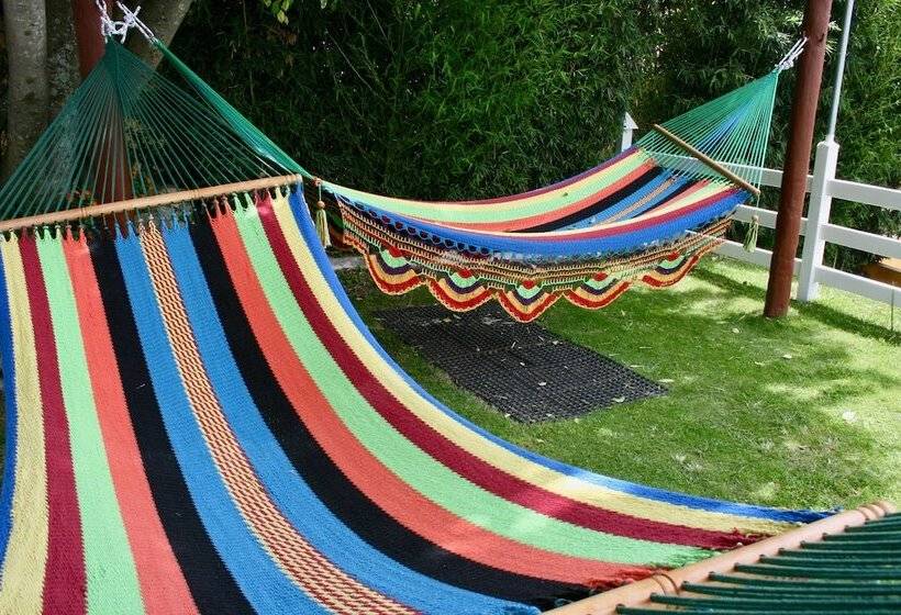 פונדק Central Boquete