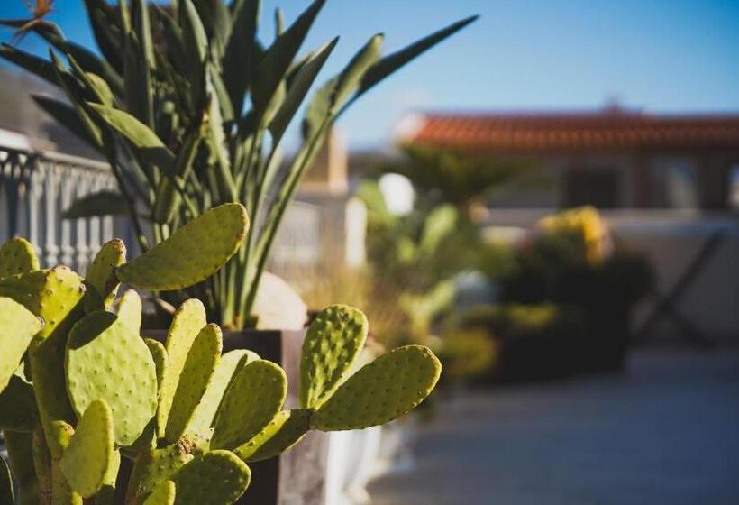 פונדק Riad Comfort Rooms