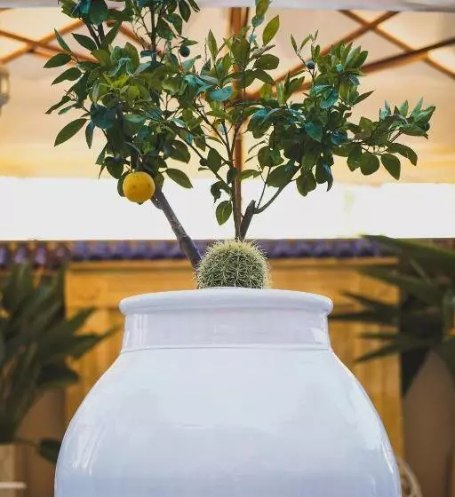 مسافرخانه Riad Comfort Rooms