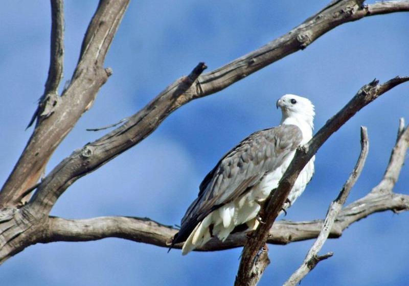 Отель Arthur River Holiday Units