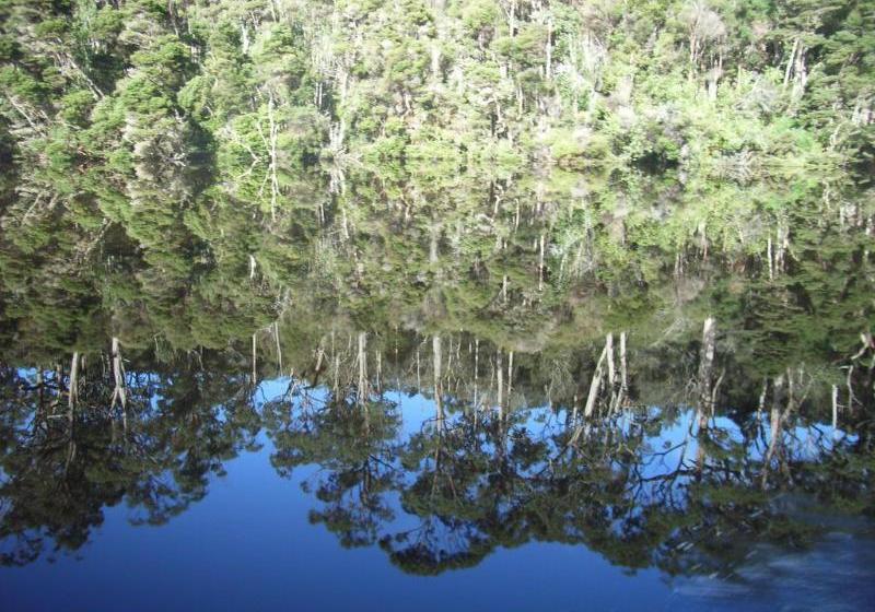 Отель Arthur River Holiday Units