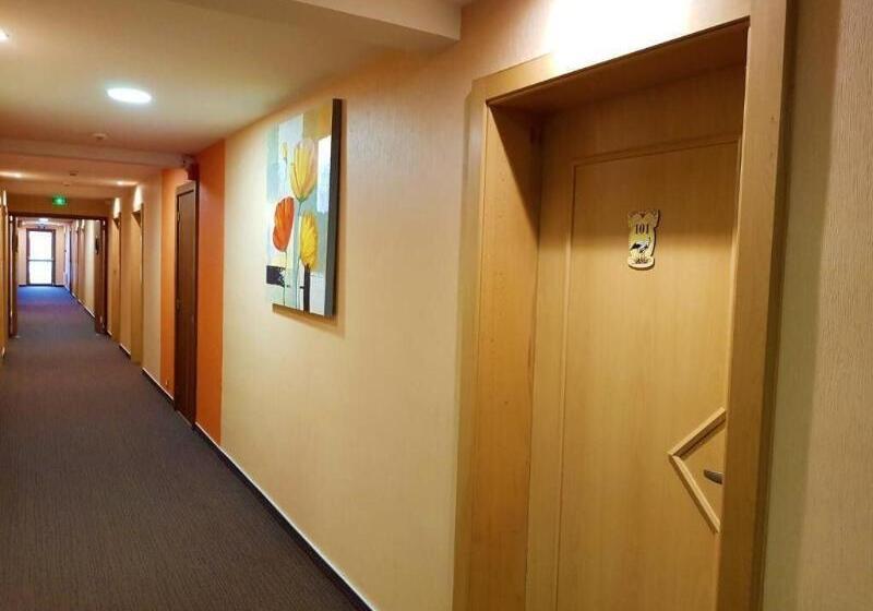 בית מלון כפרי Cigoland