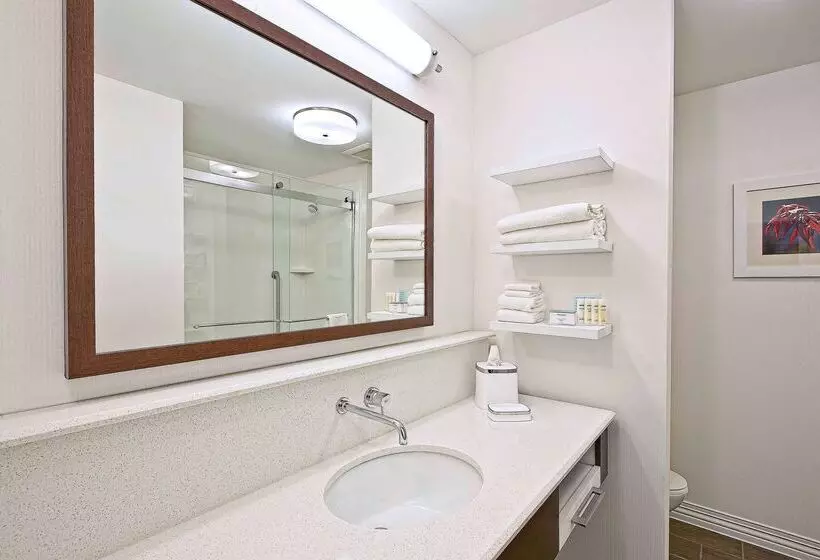 ホテル Hampton Inn By Hilton West Bloomfield Novi