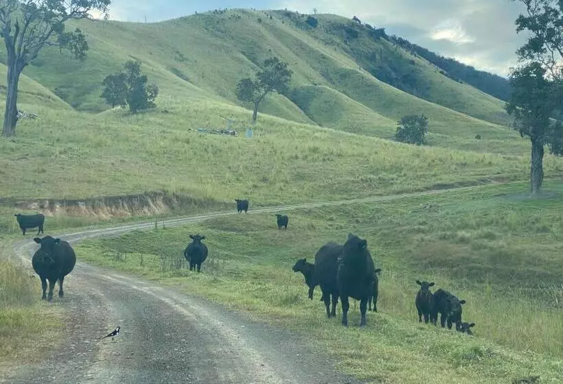 هتل Hidden Haven Barrington Tops