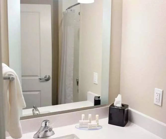 ホテル Towneplace Suites By Marriott Ames