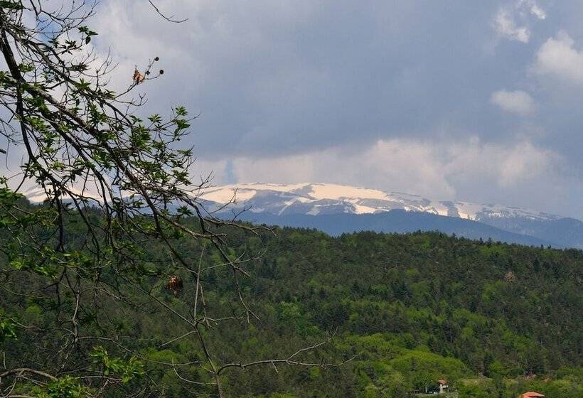 Пансион Apalni Cottage