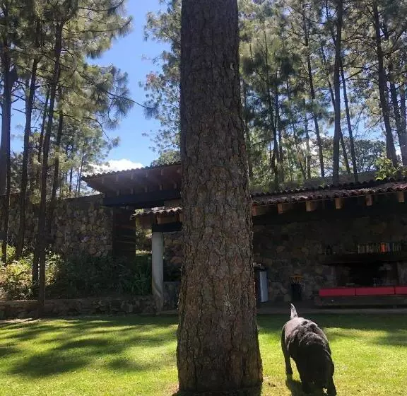 ベッドアンドブレックファースト Xomue