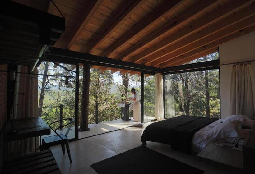 مبيت وإفطار Xomue