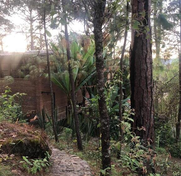 مبيت وإفطار Xomue