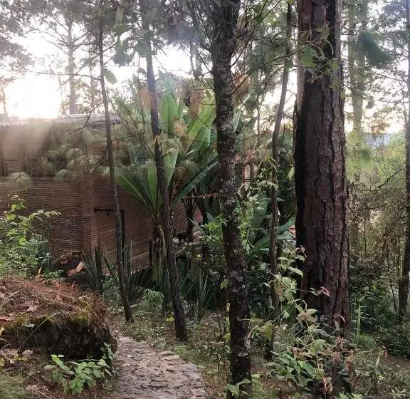 ベッドアンドブレックファースト Xomue