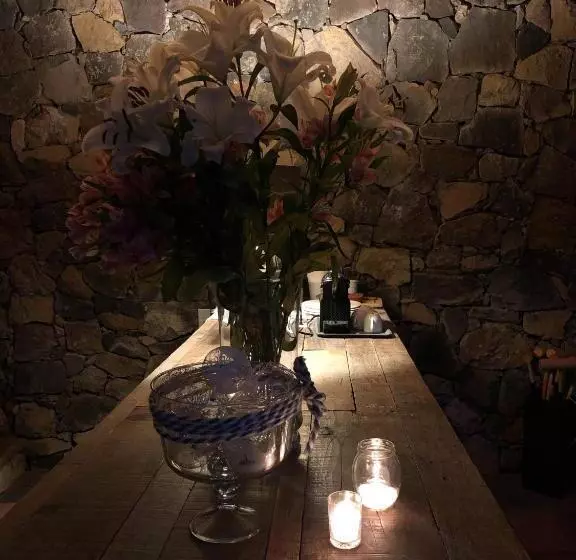 ベッドアンドブレックファースト Xomue