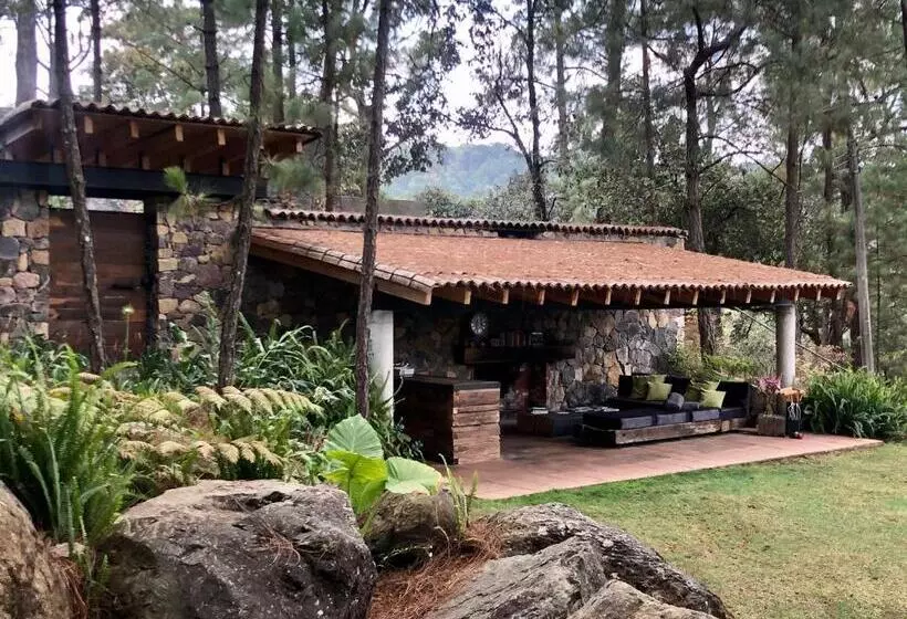 ベッドアンドブレックファースト Xomue