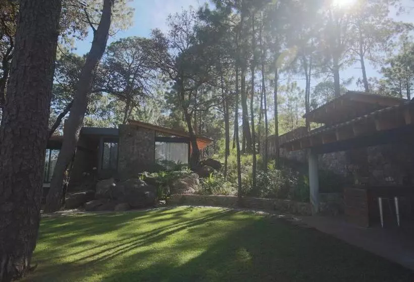 ベッドアンドブレックファースト Xomue