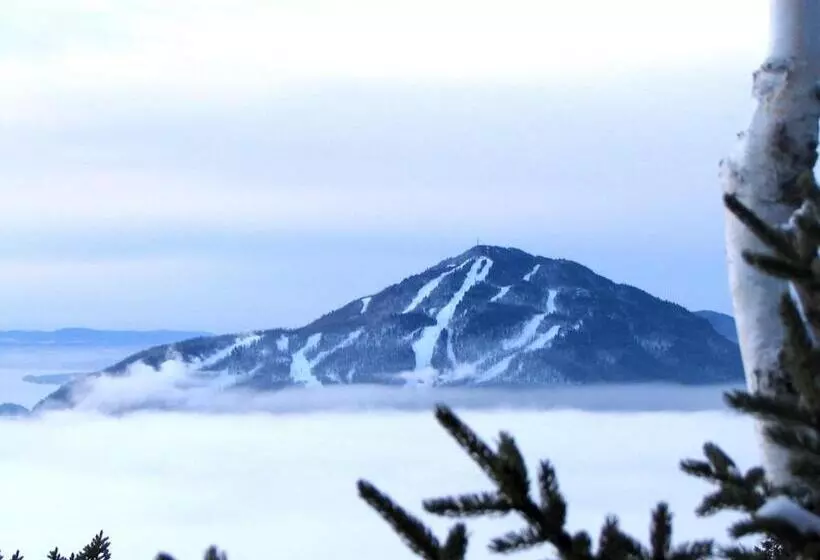 リゾートホテル Destination Owl S Head   Mtn Haus