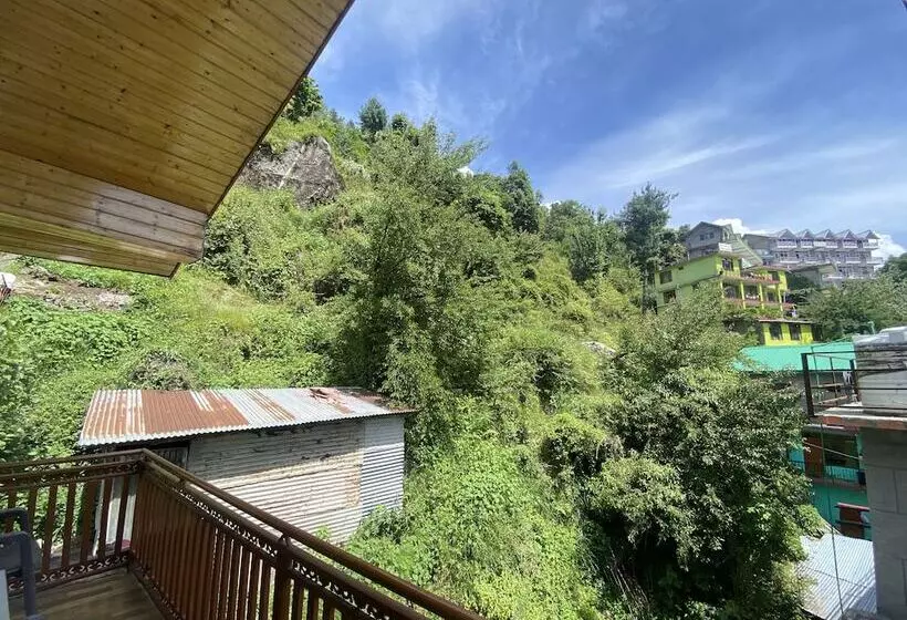 ユースホステル Vashishth X One Light Stays