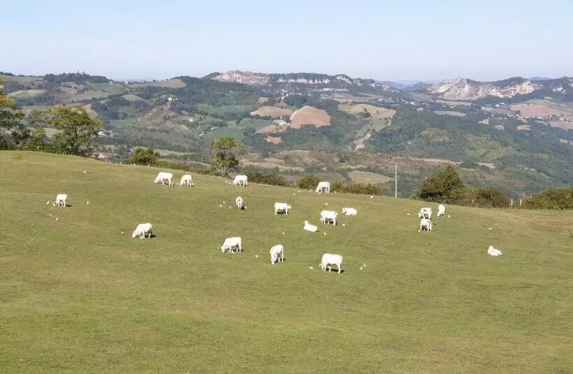 ホテル La Cegna
