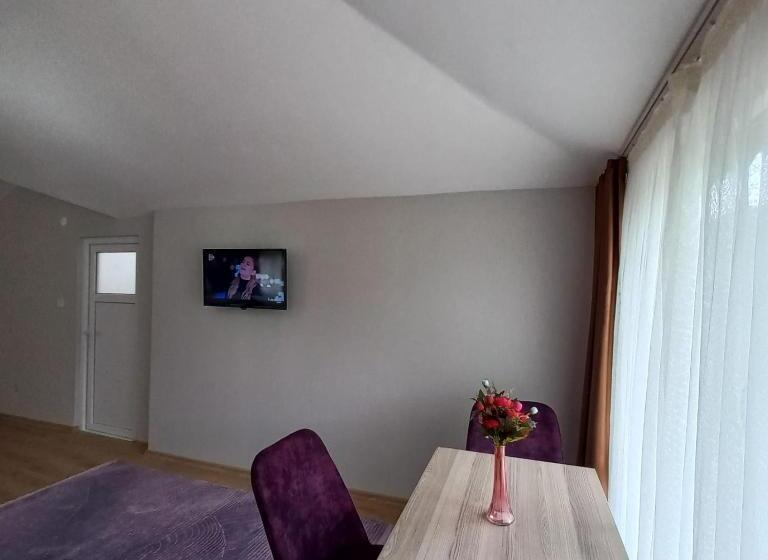 Пансион Newsuit2023