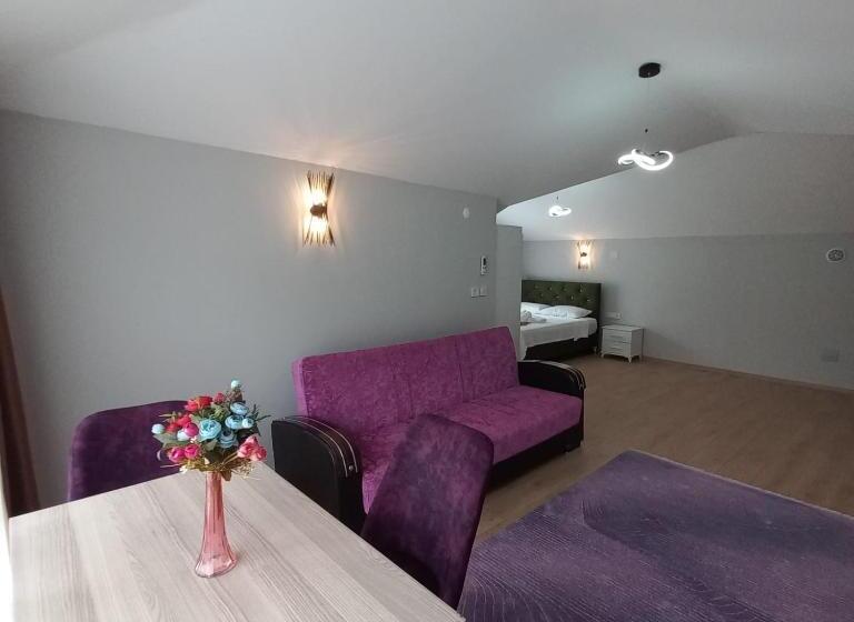 Пансион Newsuit2023