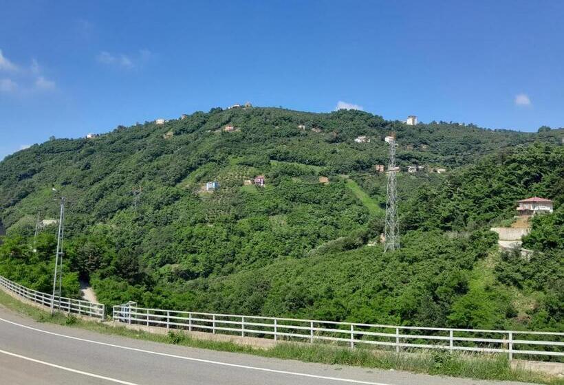 Пансион Newsuit2023