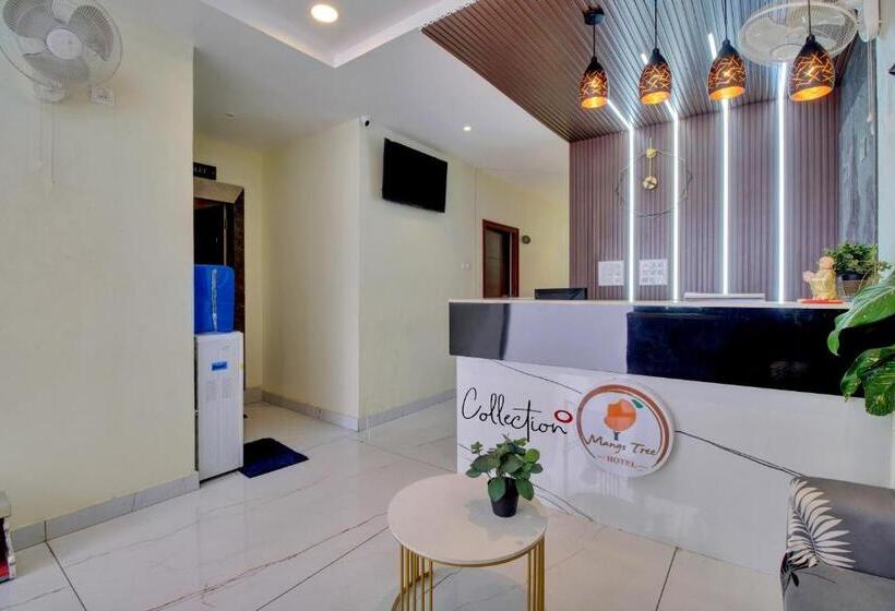 Collection O Hotel Mango Tree