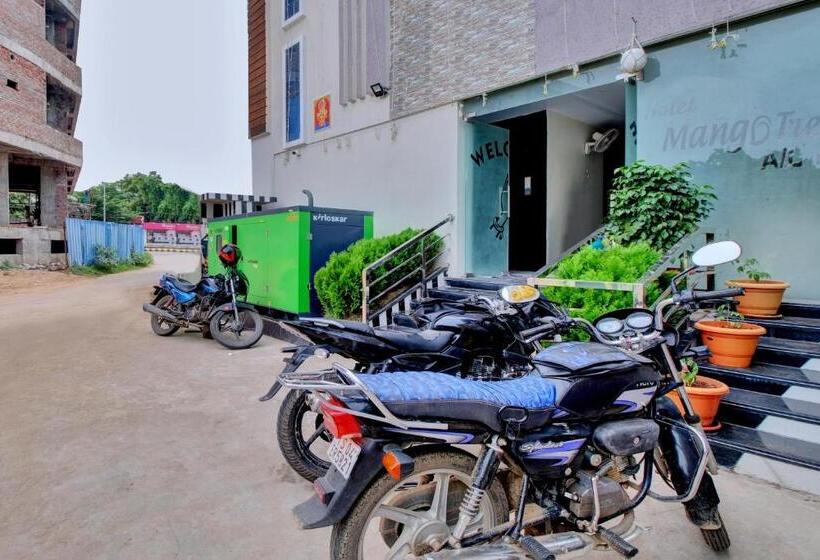 Collection O Hotel Mango Tree