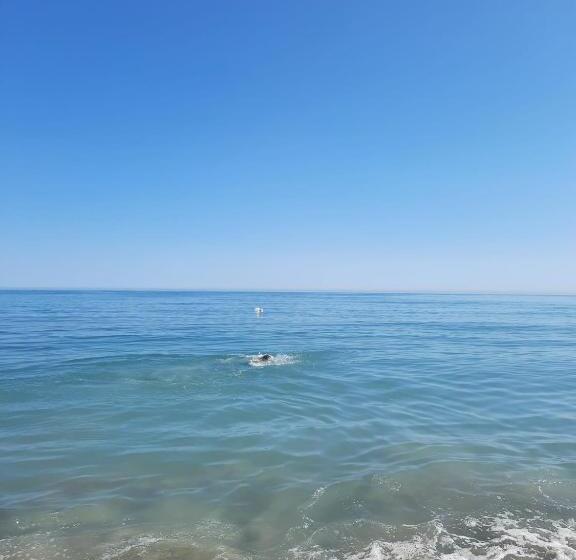 Pensionat Casa Coralia