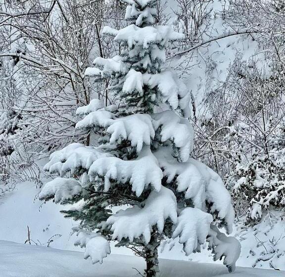 בית מלון כפרי újhuta Kastélyszálló
