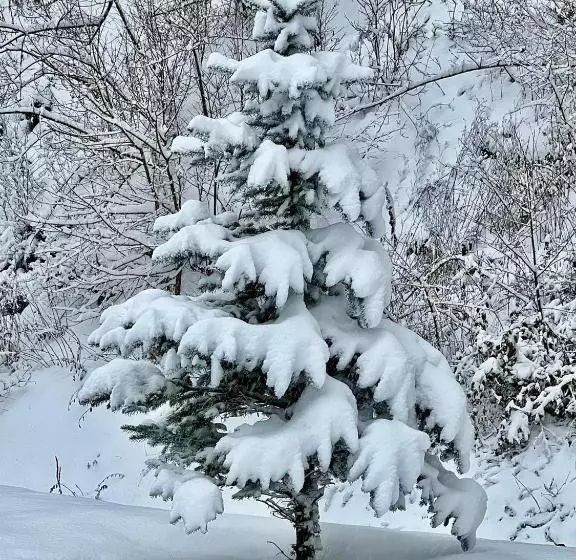 Hotelli újhuta Kastélyszálló