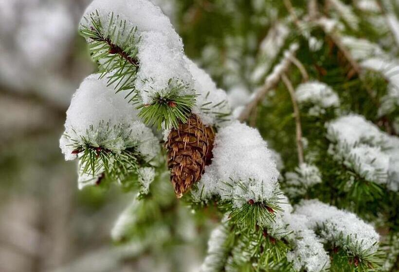בית מלון כפרי újhuta Kastélyszálló
