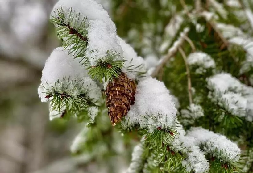 Hotelli újhuta Kastélyszálló