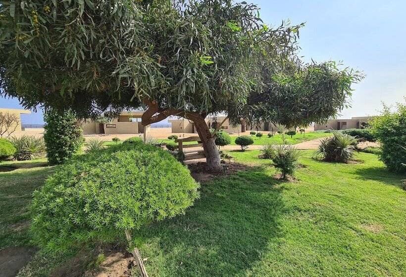 בית מלון כפרי Y Cabañas Hornitos Caja Los Andes