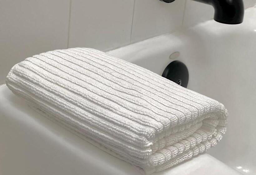 펜션 The Vine, Studio City