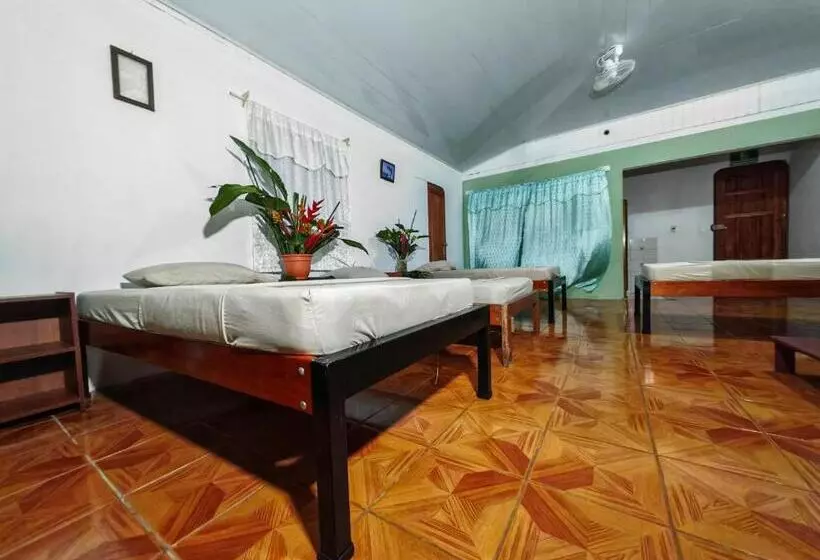Sweet Gulf Hostel