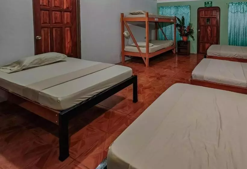 Sweet Gulf Hostel