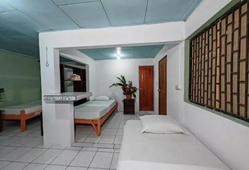 Sweet Gulf Hostel