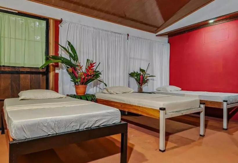 Sweet Gulf Hostel