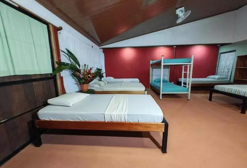 Sweet Gulf Hostel