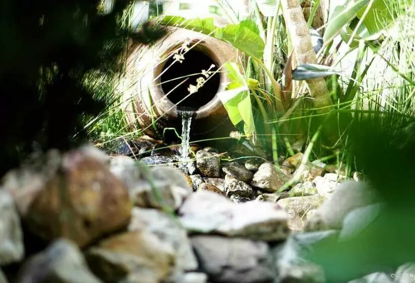 Retkeilymaja Currais O Pequeno Paraíso Entre O Mar E A Serra