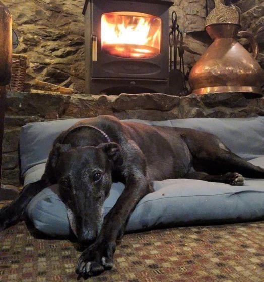 ユースホステル The Butchers Arme