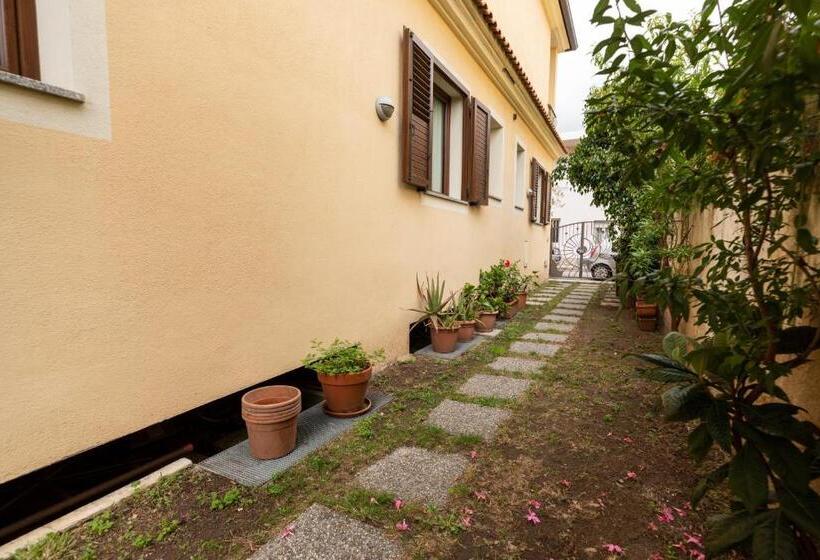 ペンション Theo S Rooms