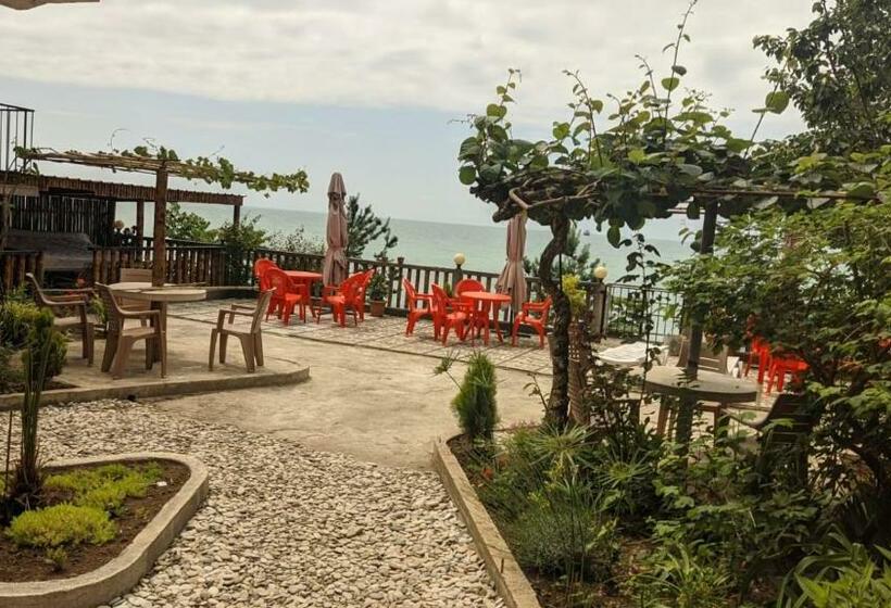 هاستل гостиница у моря