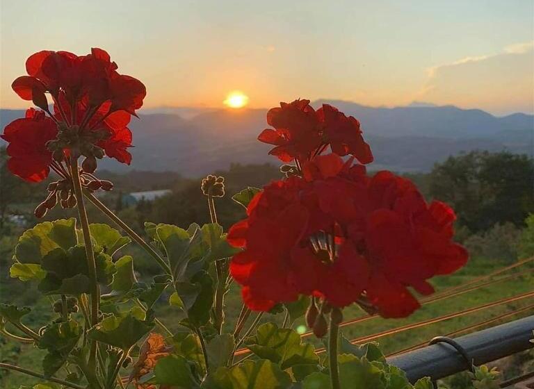 펜션 Affittacamere Porta Majella