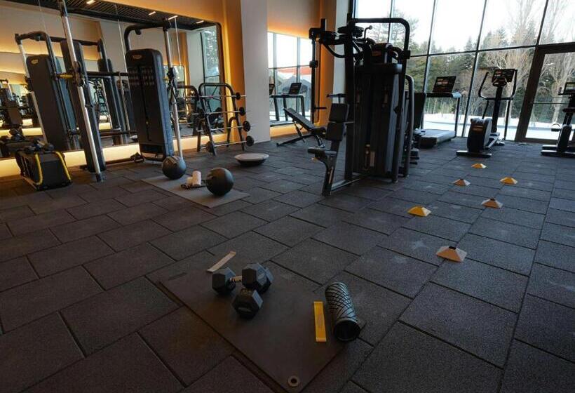 Swissotel Uludag Bursa