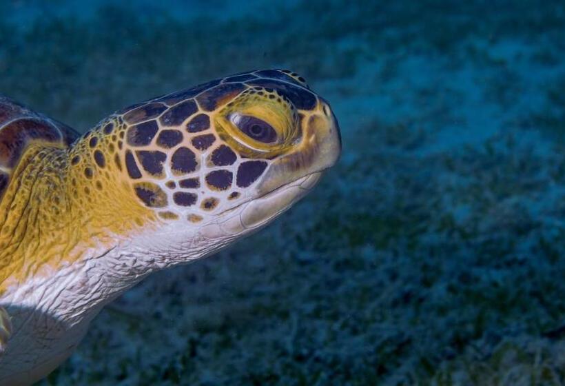 هتل Bungalows On The Bay