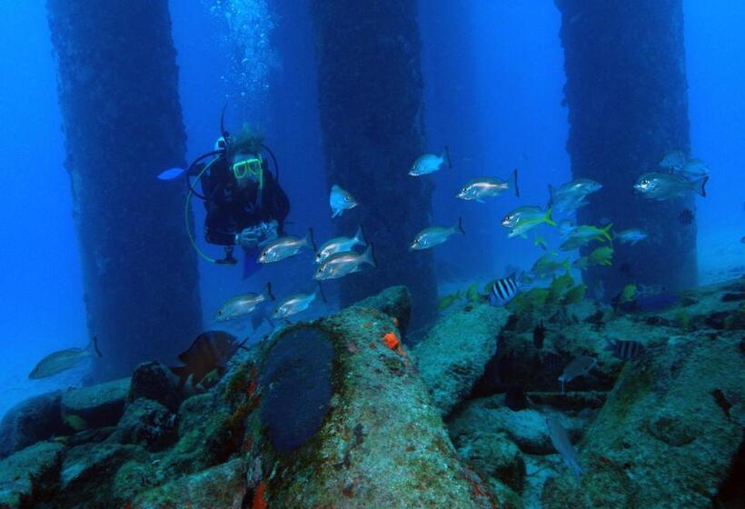 هتل Bungalows On The Bay