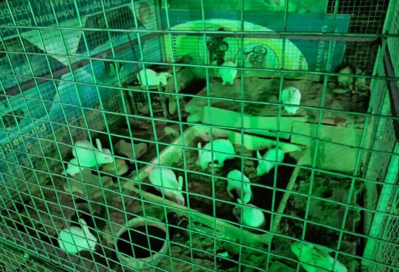 בית מלון כפרי Rann Kandhi