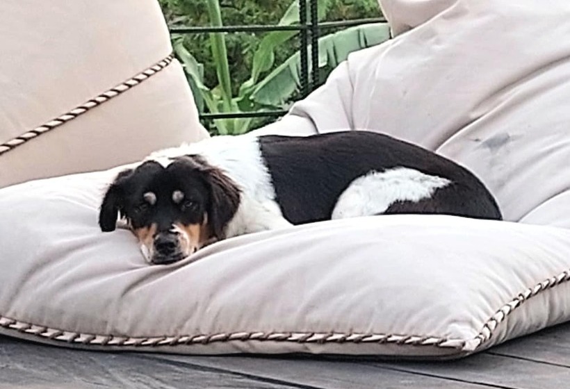 ホテル Spaces Bali