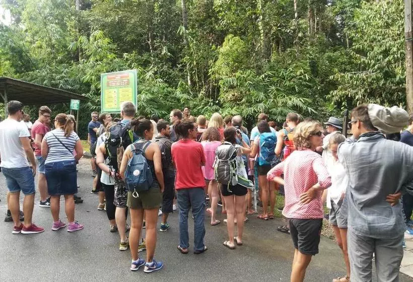 Schronisko Backpacker S Stay Services