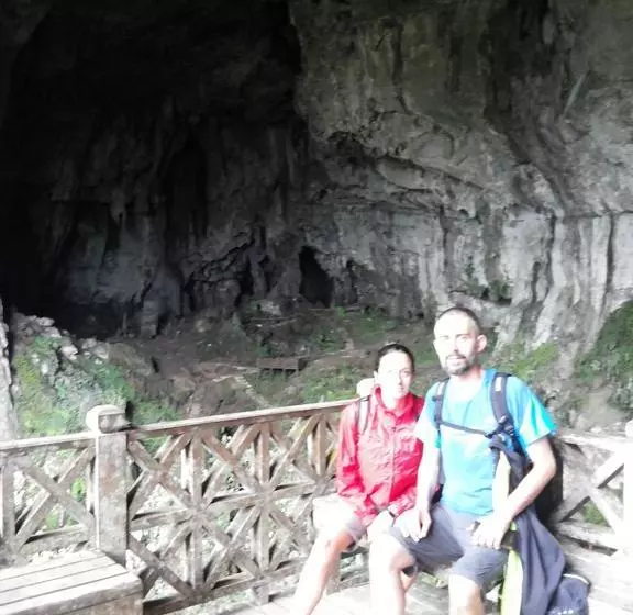 Schronisko Backpacker S Stay Services